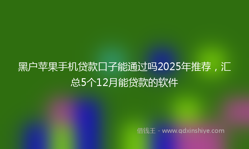 黑户苹果手机贷款口子能通过吗2025年推荐，汇总5个12月能贷款的软件