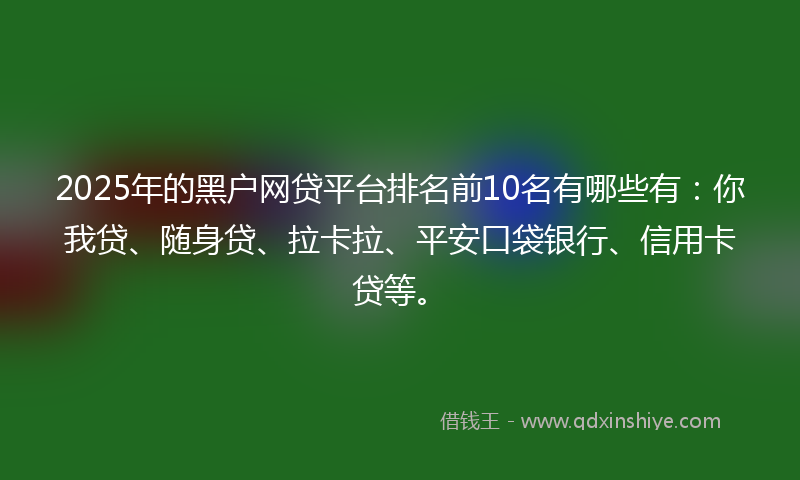 2025年的黑户网贷平台排名前10名有哪些有：你我贷、随身贷、拉卡拉、平安口袋银行、信用卡贷等。