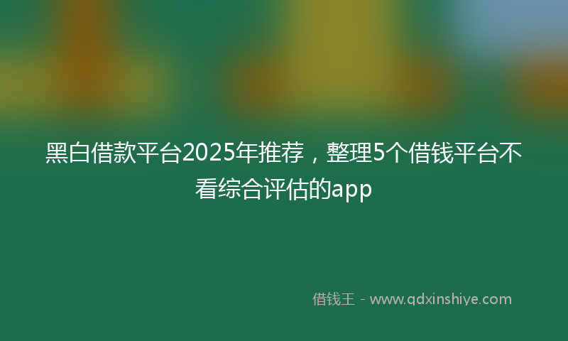 黑白借款平台2025年推荐，整理5个借钱平台不看综合评估的app