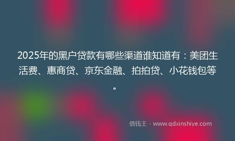 2025年的黑户贷款有哪些渠道谁知道有：美团生活费、惠商贷、京东金融、拍拍贷、小花钱包等。