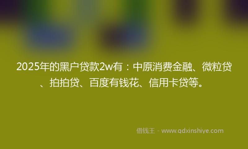 2025年的黑户贷款2w有：中原消费金融、微粒贷、拍拍贷、百度有钱花、信用卡贷等。