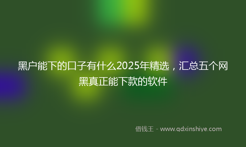黑户能下的口子有什么2025年精选，汇总五个网黑真正能下款的软件