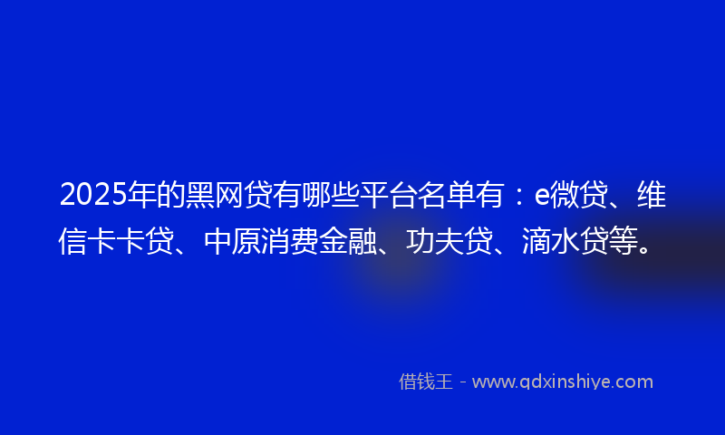 2025年的黑网贷有哪些平台名单有：e微贷、维信卡卡贷、中原消费金融、功夫贷、滴水贷等。