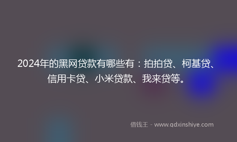 2024年的黑网贷款有哪些有：拍拍贷、柯基贷、信用卡贷、小米贷款、我来贷等。
