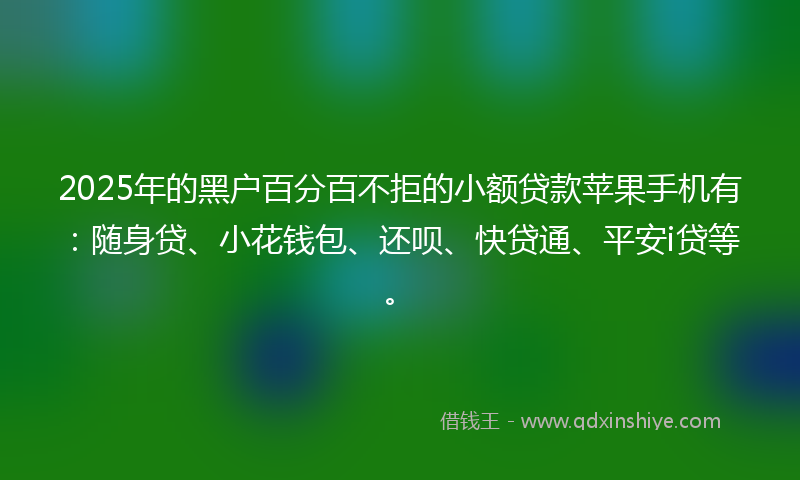 2025年的黑户百分百不拒的小额贷款苹果手机有：随身贷、小花钱包、还呗、快贷通、平安i贷等。