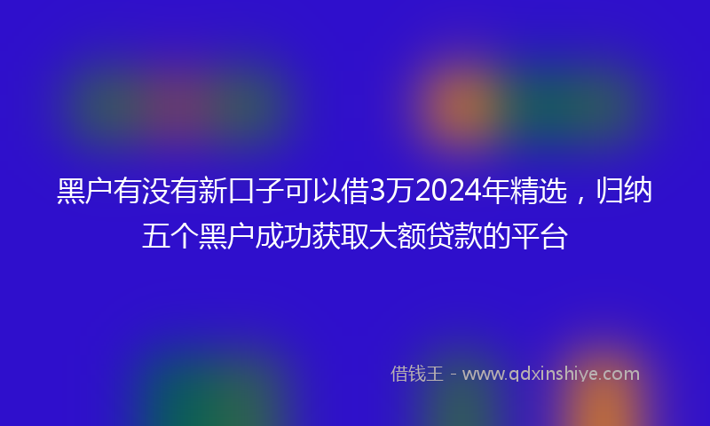黑户有没有新口子可以借3万2024年精选，归纳五个黑户成功获取大额贷款的平台