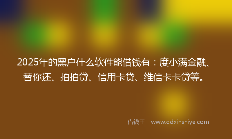 2025年的黑户什么软件能借钱有：度小满金融、替你还、拍拍贷、信用卡贷、维信卡卡贷等。