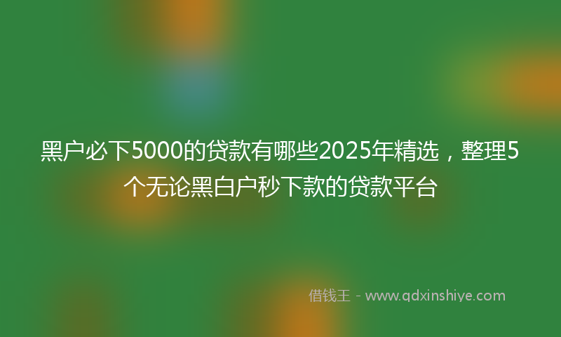 黑户必下5000的贷款有哪些2025年精选，整理5个无论黑白户秒下款的贷款平台