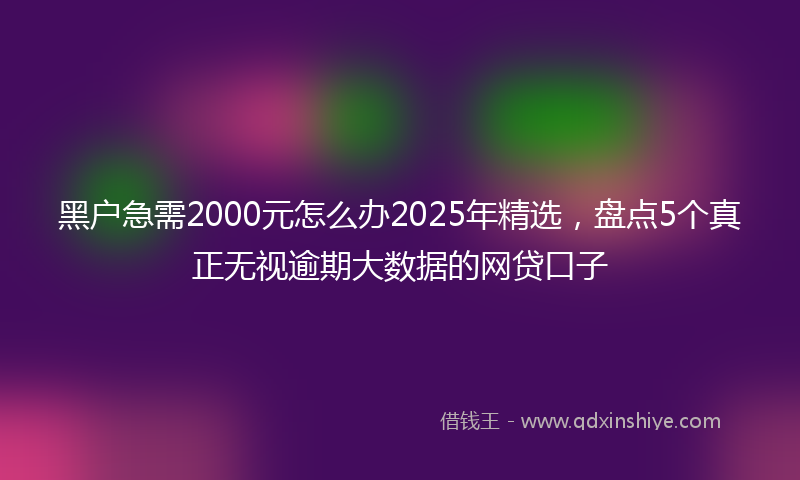 黑户急需2000元怎么办2025年精选，盘点5个真正无视逾期大数据的网贷口子