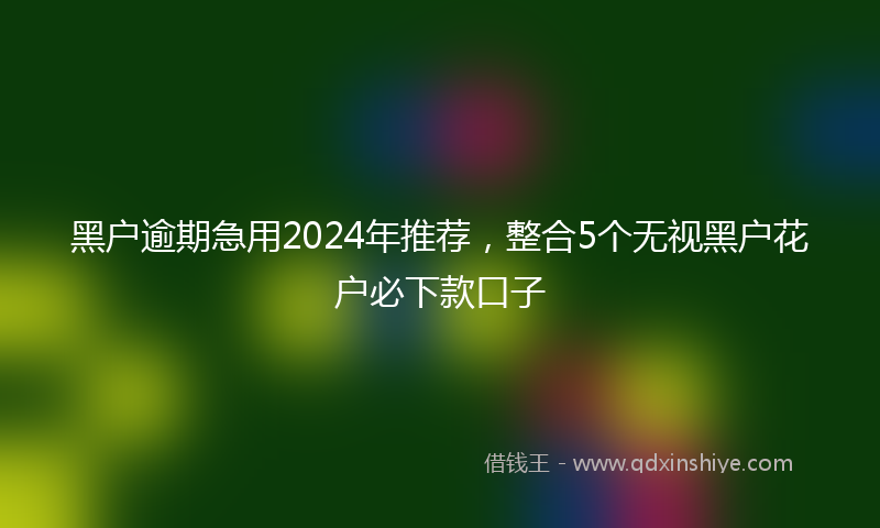 黑户逾期急用2024年推荐，整合5个无视黑户花户必下款口子