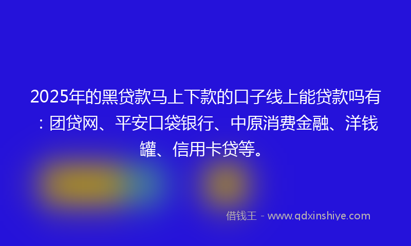 2025年的黑贷款马上下款的口子线上能贷款吗有：团贷网、平安口袋银行、中原消费金融、洋钱罐、信用卡贷等。
