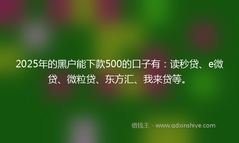 2025年的黑户能下款500的口子有：读秒贷、e微贷、微粒贷、东方汇、我来贷等。