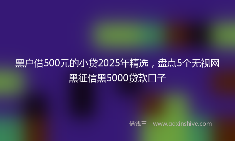 黑户借500元的小贷2025年精选，盘点5个无视网黑征信黑5000贷款口子