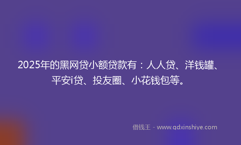 2025年的黑网贷小额贷款有：人人贷、洋钱罐、平安i贷、投友圈、小花钱包等。