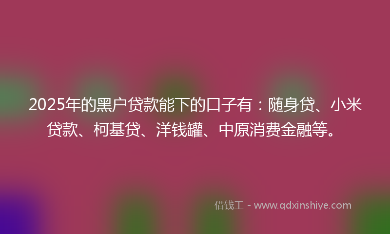 2025年的黑户贷款能下的口子有：随身贷、小米贷款、柯基贷、洋钱罐、中原消费金融等。