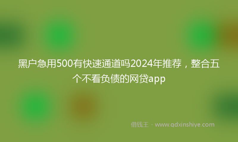 黑户急用500有快速通道吗2024年推荐，整合五个不看负债的网贷app