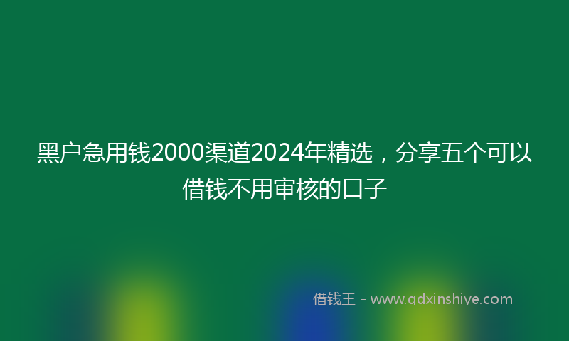 黑户急用钱2000渠道2024年精选，分享五个可以借钱不用审核的口子
