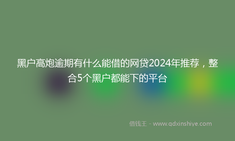 黑户高炮逾期有什么能借的网贷2024年推荐，整合5个黑户都能下的平台