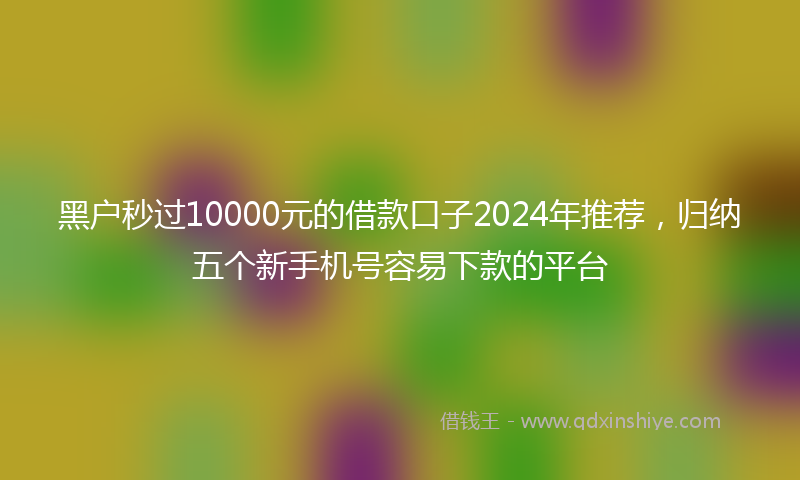 黑户秒过10000元的借款口子2024年推荐，归纳五个新手机号容易下款的平台