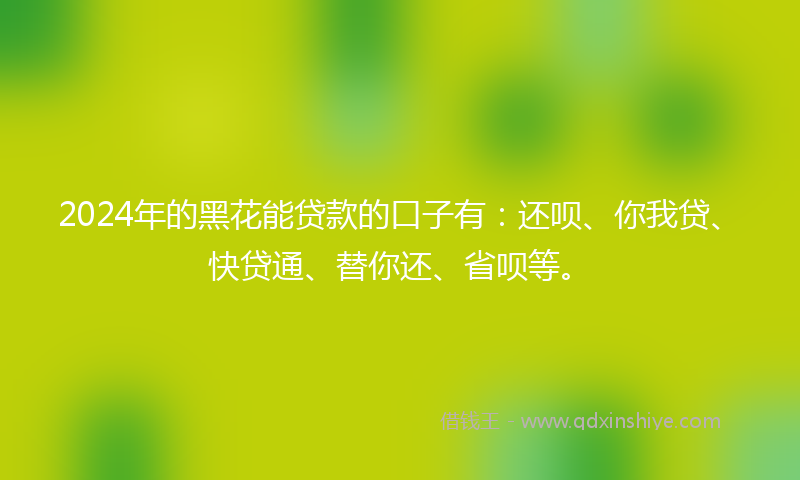 2024年的黑花能贷款的口子有：还呗、你我贷、快贷通、替你还、省呗等。