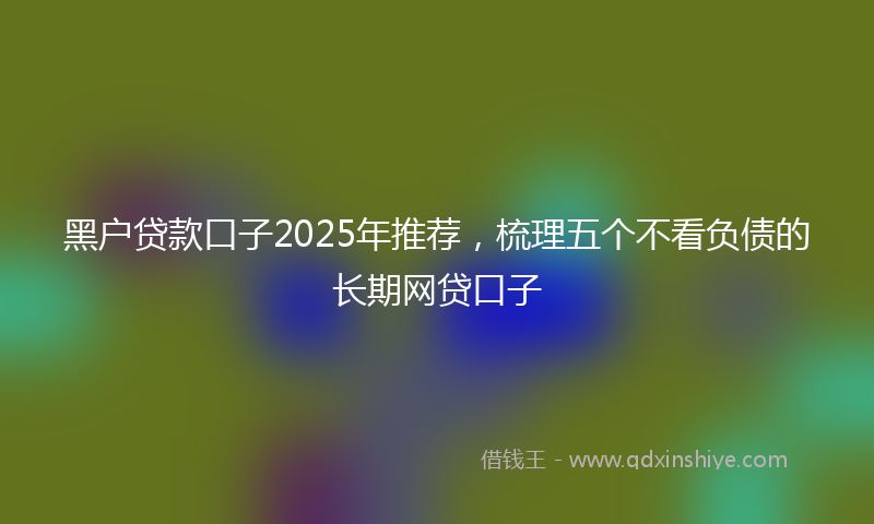 黑户贷款口子2025年推荐，梳理五个不看负债的长期网贷口子