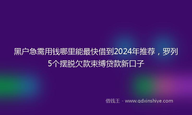 黑户急需用钱哪里能最快借到2024年推荐，罗列5个摆脱欠款束缚贷款新口子