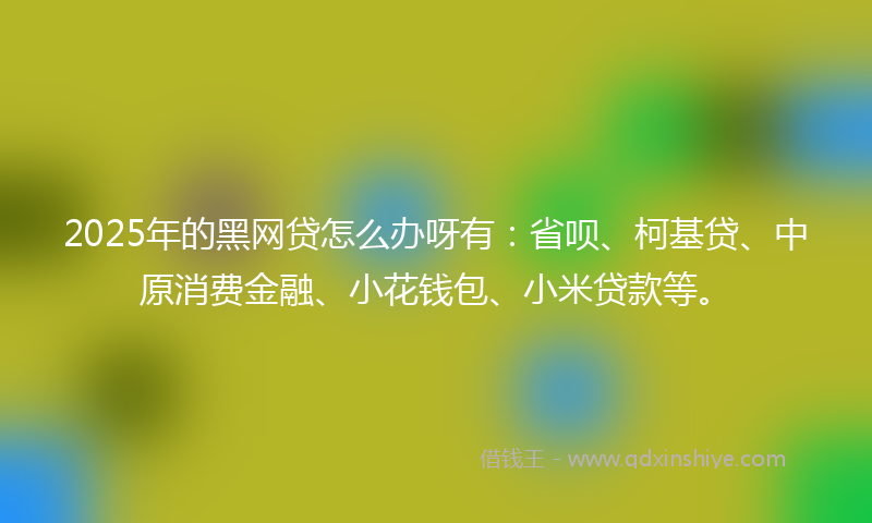 2025年的黑网贷怎么办呀有：省呗、柯基贷、中原消费金融、小花钱包、小米贷款等。