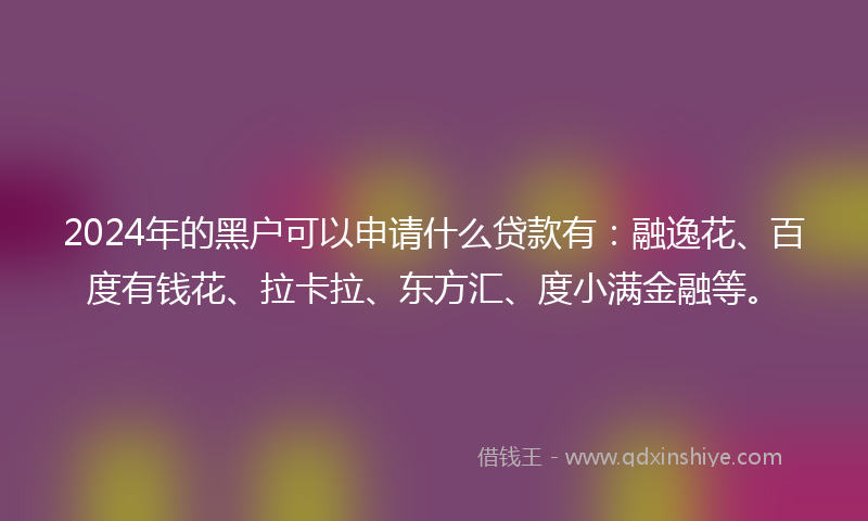 2024年的黑户可以申请什么贷款有：融逸花、百度有钱花、拉卡拉、东方汇、度小满金融等。
