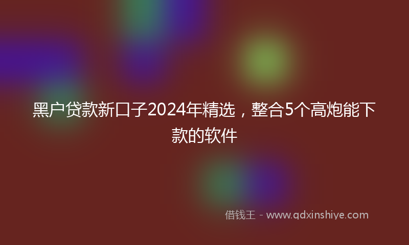黑户贷款新口子2024年精选，整合5个高炮能下款的软件