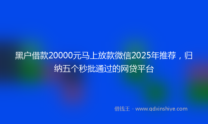 黑户借款20000元马上放款微信2025年推荐，归纳五个秒批通过的网贷平台