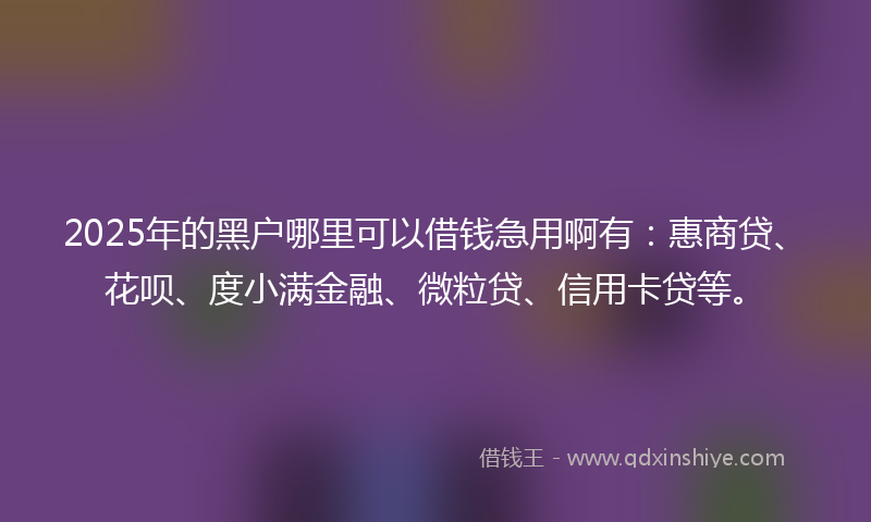 2025年的黑户哪里可以借钱急用啊有：惠商贷、花呗、度小满金融、微粒贷、信用卡贷等。