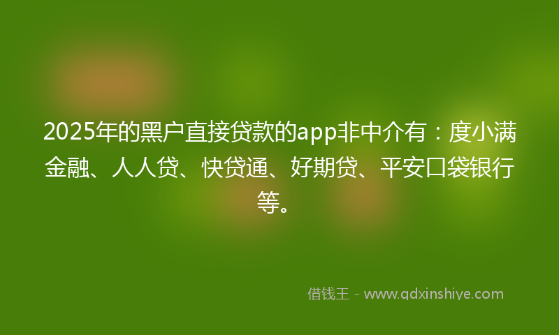2025年的黑户直接贷款的app非中介有：度小满金融、人人贷、快贷通、好期贷、平安口袋银行等。