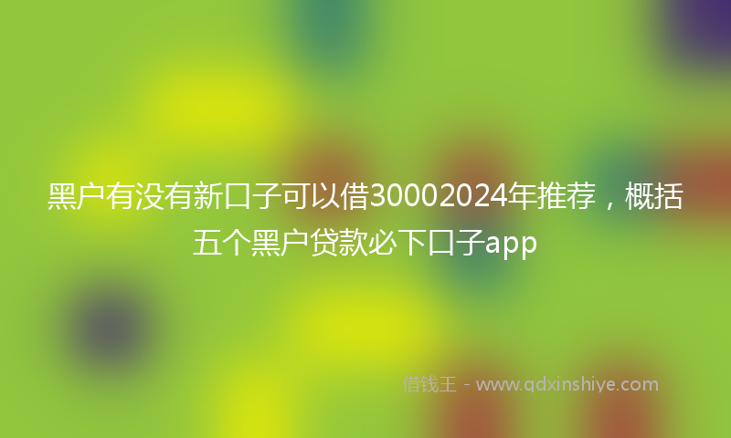 黑户有没有新口子可以借30002024年推荐，概括五个黑户贷款必下口子app