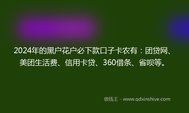 2024年的黑户花户必下款口子卡农有：团贷网、美团生活费、信用卡贷、360借条、省呗等。