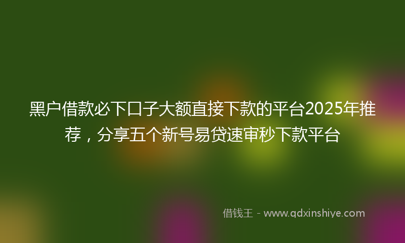黑户借款必下口子大额直接下款的平台2025年推荐，分享五个新号易贷速审秒下款平台