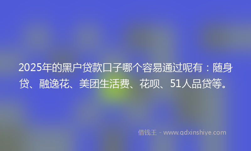 2025年的黑户贷款口子哪个容易通过呢有：随身贷、融逸花、美团生活费、花呗、51人品贷等。