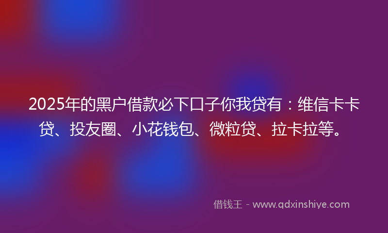 2025年的黑户借款必下口子你我贷有：维信卡卡贷、投友圈、小花钱包、微粒贷、拉卡拉等。