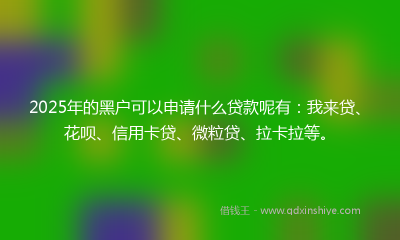2025年的黑户可以申请什么贷款呢有：我来贷、花呗、信用卡贷、微粒贷、拉卡拉等。