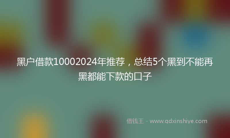 黑户借款10002024年推荐，总结5个黑到不能再黑都能下款的口子