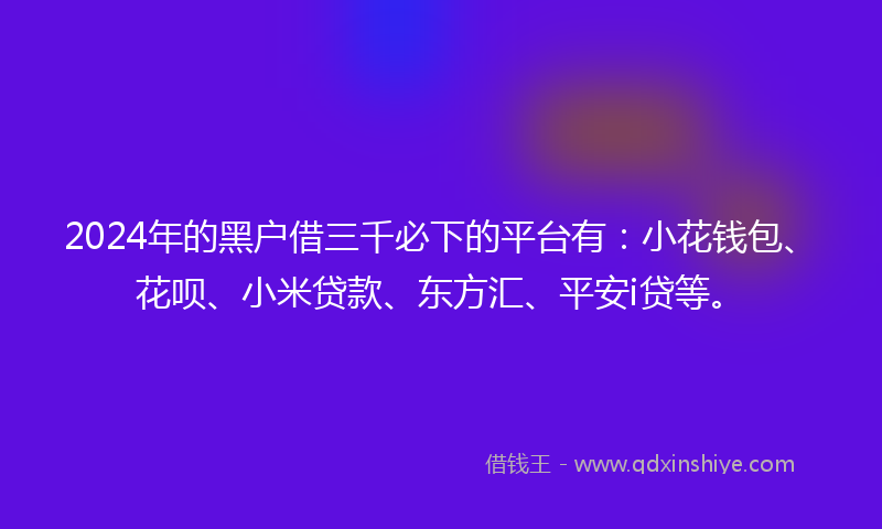 2024年的黑户借三千必下的平台有：小花钱包、花呗、小米贷款、东方汇、平安i贷等。