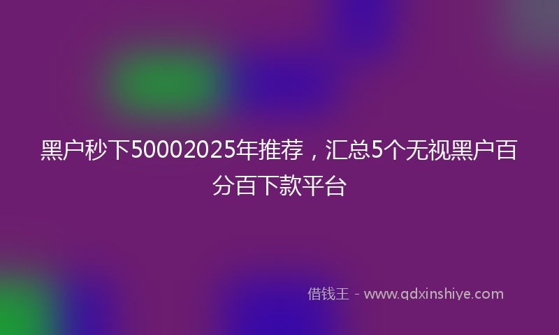 黑户秒下50002025年推荐，汇总5个无视黑户百分百下款平台