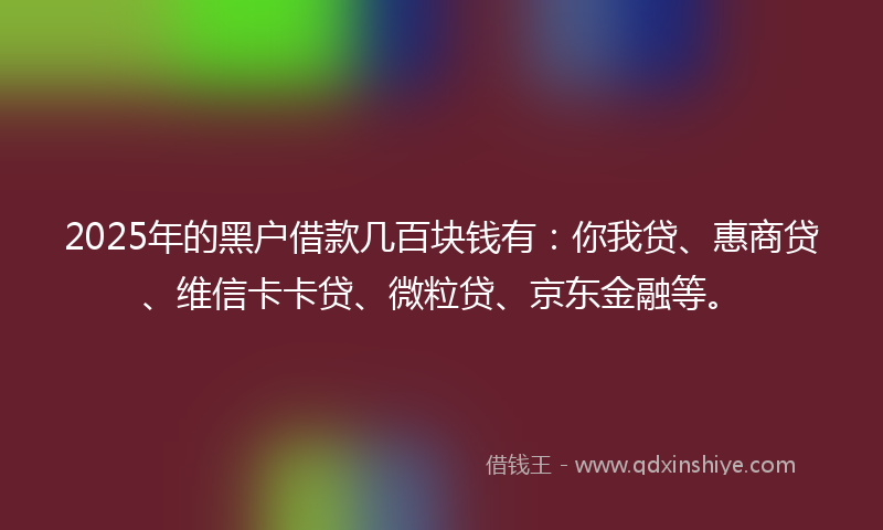 2025年的黑户借款几百块钱有：你我贷、惠商贷、维信卡卡贷、微粒贷、京东金融等。