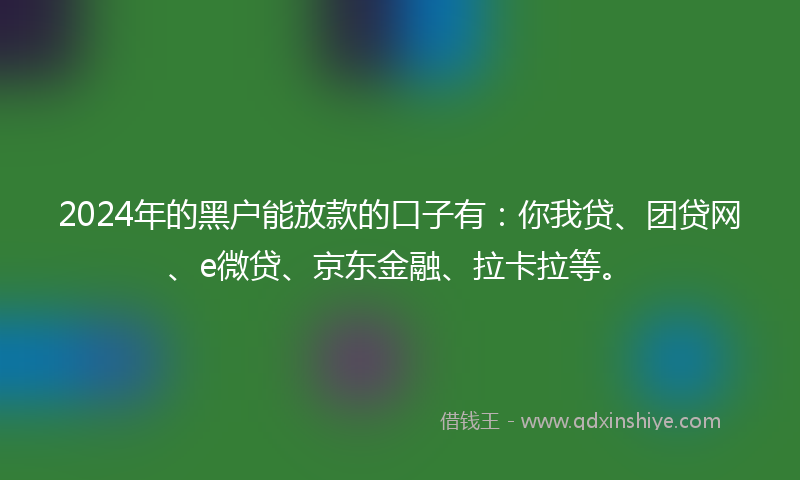 2024年的黑户能放款的口子有：你我贷、团贷网、e微贷、京东金融、拉卡拉等。