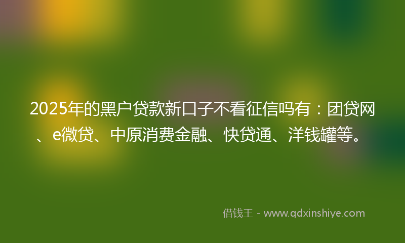 2025年的黑户贷款新口子不看征信吗有：团贷网、e微贷、中原消费金融、快贷通、洋钱罐等。