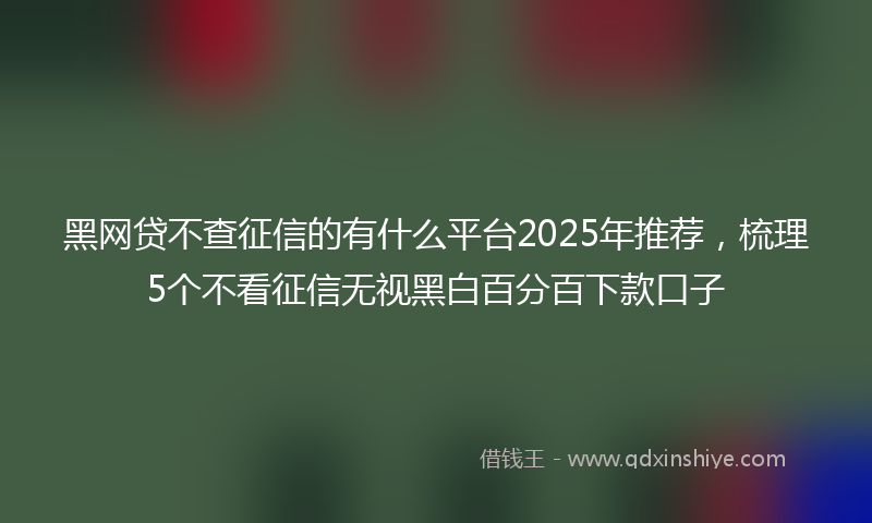 黑网贷不查征信的有什么平台2025年推荐，梳理5个不看征信无视黑白百分百下款口子