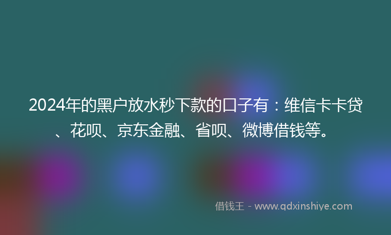 2024年的黑户放水秒下款的口子有：维信卡卡贷、花呗、京东金融、省呗、微博借钱等。