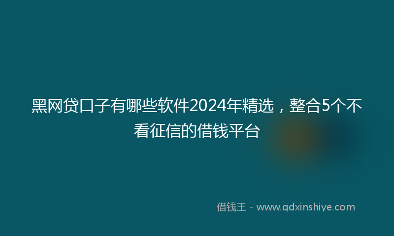 黑网贷口子有哪些软件2024年精选，整合5个不看征信的借钱平台