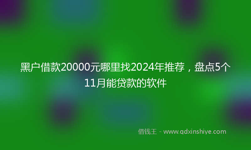 黑户借款20000元哪里找2024年推荐，盘点5个11月能贷款的软件