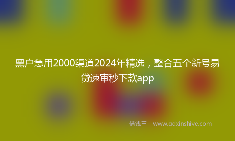 黑户急用2000渠道2024年精选，整合五个新号易贷速审秒下款app