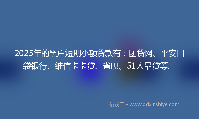 2025年的黑户短期小额贷款有：团贷网、平安口袋银行、维信卡卡贷、省呗、51人品贷等。